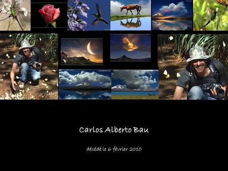 Carlos Alberto Bau décédé le 6 février 2010. Carlos Alberto Bau était un expert-comptable de profession, mais sa passion était la photographie, à travers.