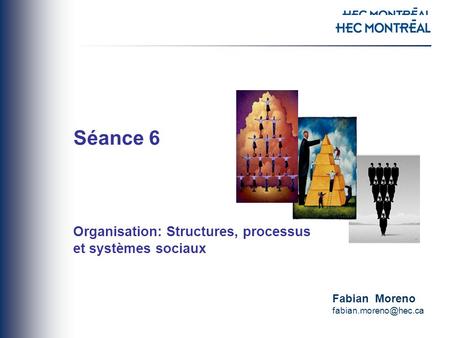 Séance 6 Organisation: Structures, processus et systèmes sociaux