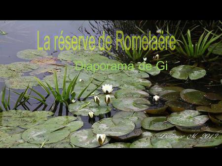 Diaporama de Gi Les étangs du Romelaëre... une mosaïque d'étangs et de rivières propices à la balade. Quelques dates: En se retirant au IVème siècle.