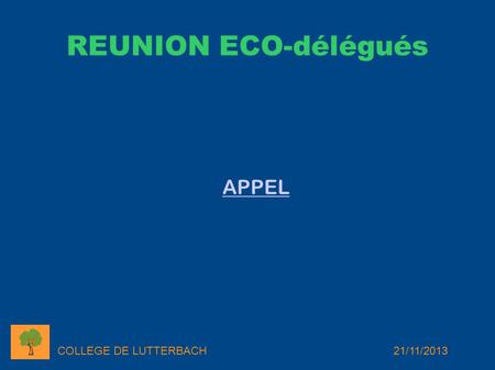 REUNION ECO-délégués COLLEGE DE LUTTERBACH21/11/2013 APPEL.