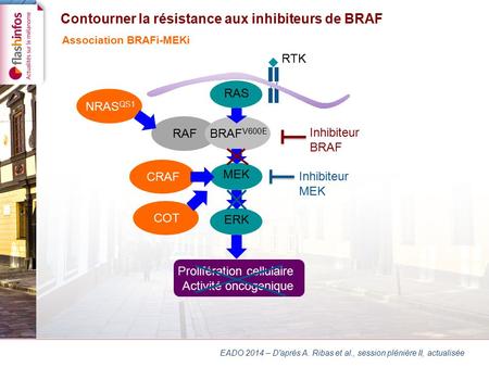 Mécanisme de résistance indépendant de la voie MAPK RTK BRAFV600E