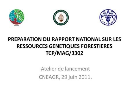 PREPARATION DU RAPPORT NATIONAL SUR LES RESSOURCES GENETIQUES FORESTIERES TCP/MAG/3302 Atelier de lancement CNEAGR, 29 juin 2011.