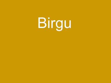 Birgu. Introduction Le sens du mot – Birgu La situation de Birgu.