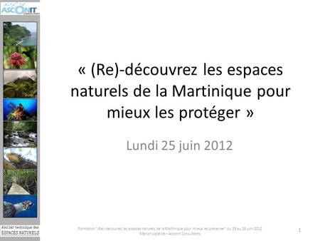 « (Re)-découvrez les espaces naturels de la Martinique pour mieux les protéger » Lundi 25 juin 2012 Formation (Re)-découvrez les espaces naturels de la.