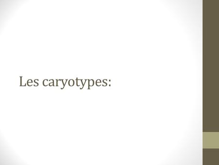 Les caryotypes:.