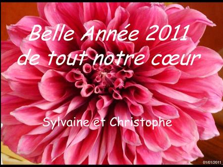 Belle Année 2011 de tout notre cœur Sylvaine et Christophe 01/01/2011.