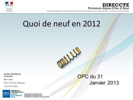 Quoi de neuf en 2012 OPC du 31 Janvier 2013 Etudes Statistiques Evaluation Rémi Belle Marie Christine Chesneau Virginie D’Angelo.
