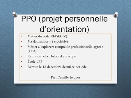 PPO (projet personnelle d’orientation)