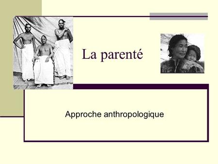 Approche anthropologique