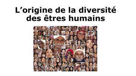 L’origine de la diversité des êtres humains