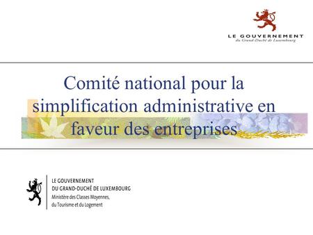 Comité national pour la simplification administrative en faveur des entreprises.