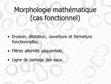 Morphologie mathématique (cas fonctionnel)