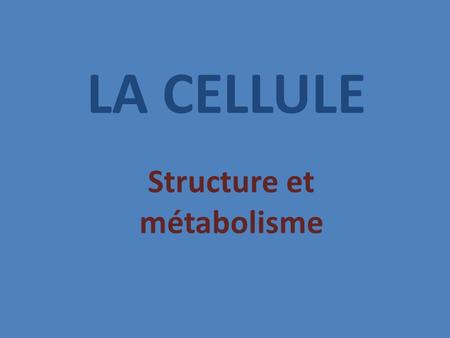 Structure et métabolisme