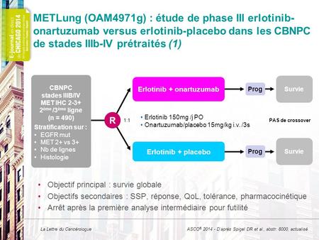La Lettre du Cancérologue METLung (OAM4971g) : étude de phase III erlotinib- onartuzumab versus erlotinib-placebo dans les CBNPC de stades IIIb-IV prétraités.