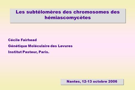 Les subtélomères des chromosomes des hémiascomycètes Nantes, 12-13 octobre 2006 Cécile Fairhead Génétique Moléculaire des Levures Institut Pasteur, Paris.