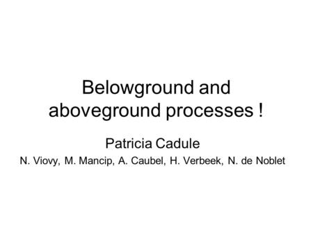 Belowground and aboveground processes !