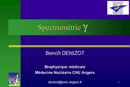 Benoit Denizot Vectorisation particulaire