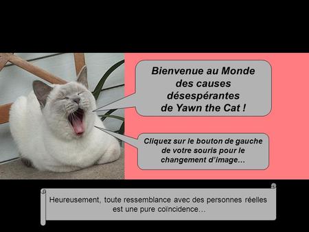 Bienvenue au Monde des causes désespérantes de Yawn the Cat ! Heureusement, toute ressemblance avec des personnes réelles est une pure coïncidence… Cliquez.