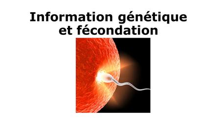 Information génétique et fécondation