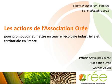 Smart Energies For Factories 5 et 6 décembre 2012 Les actions de l’Association Orée pour promouvoir et mettre en œuvre l’écologie industrielle et territoriale.