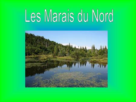 Les Marais du Nord sont situés dans un parc naturel, au nord du lac Saint-Charles, près de Québec.