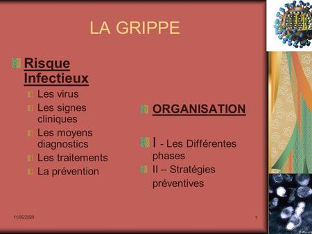 11/06/2009 1 LA GRIPPE Risque Infectieux Les virus Les signes cliniques Les moyens diagnostics Les traitements La prévention ORGANISATION I - Les Différentes.