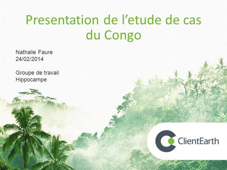 Presentation de l’etude de cas du Congo Nathalie Faure 24/02/2014 Groupe de travail Hippocampe.