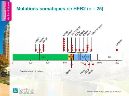 Mutations somatiques de HER2 (n = 25) D’après Bose R et al., abstr. S5-6 actualisé 1 cercle rouge : 1 patient.