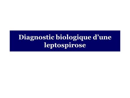 Diagnostic biologique d’une leptospirose
