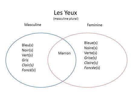 Les Yeux Masculine Feminine Bleue(s) Bleu(s) Noire(s) Noir(s) Verte(s)