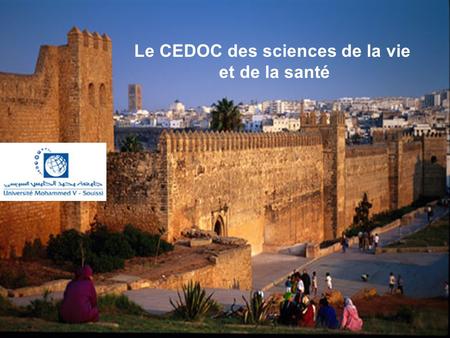 15 décembre 20081 Le CEDOC des sciences de la vie et de la santé.