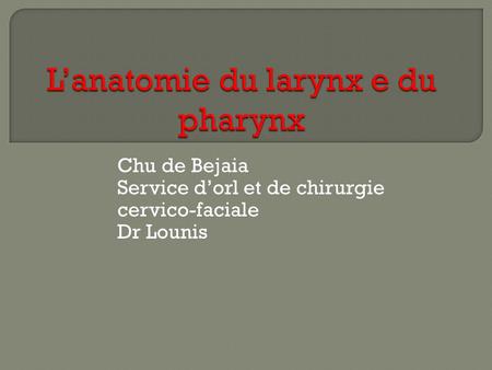L’anatomie du larynx e du pharynx