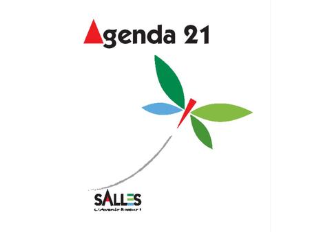 2008 Septembre 13Forum des associations - Lancement de l’Agenda 21 sallois Octobre 15 20 Réunions publiques – Appel à candidature pour l’équipe d’animation.