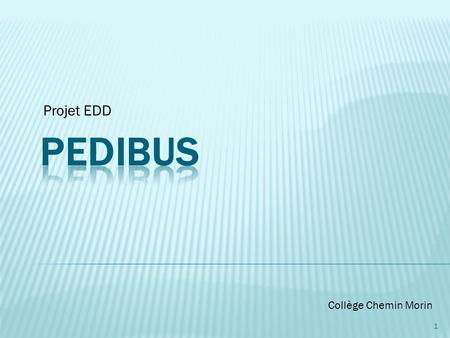 Projet EDD PEDIBUS Collège Chemin Morin.