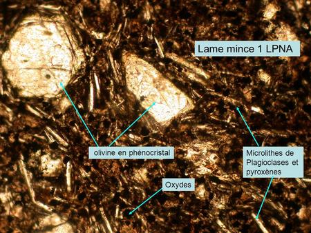 Lame mince 1 LPNA olivine en phénocristal Microlithes de