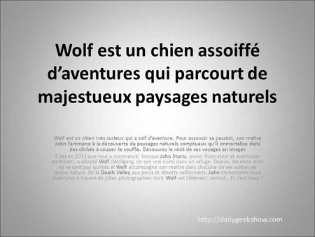 Wolf est un chien assoiffé d’aventures qui parcourt de majestueux paysages naturels Wolf est un chien très curieux qui a soif d’aventure. Pour assouvir.