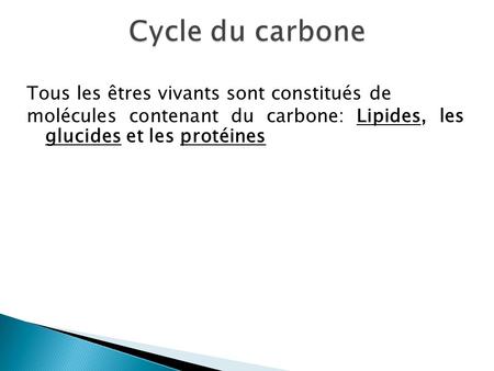 Cycle du carbone Tous les êtres vivants sont constitués de molécules contenant du carbone: Lipides, les glucides et les protéines La photosynthèse et.
