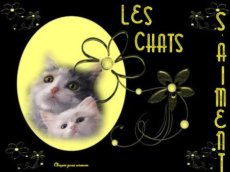 Cliquer pour avancer ‘ Les Chats S’aiment aussi. Poême de Claude Marcel Breault.