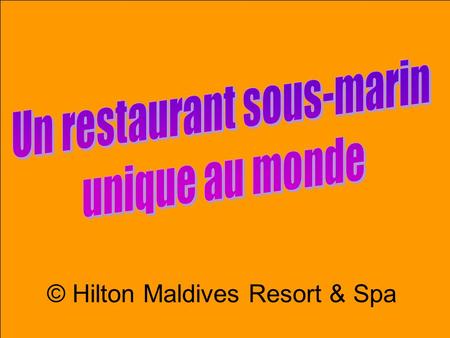 © Hilto n Mald ives Reso rt & Spa. Hilton Maldives Resort and Spa Aux Maldives, le très luxueux hôtel Hilton Maldives Resort and Spa de Rangali Island.
