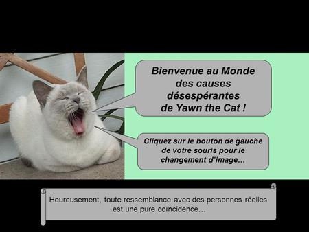 Bienvenue au Monde des causes désespérantes de Yawn the Cat ! Cliquez sur le bouton de gauche de votre souris pour le changement d’image… Heureusement,