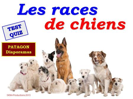 Les races de chiens TEST QUIZ 5KNA Productions 2013.