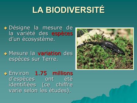 LA BIODIVERSITÉ Désigne la mesure de la variété des espèces d’un écosystème. Mesure la variation des espèces sur Terre. Environ 1.75 millions d’espèces.