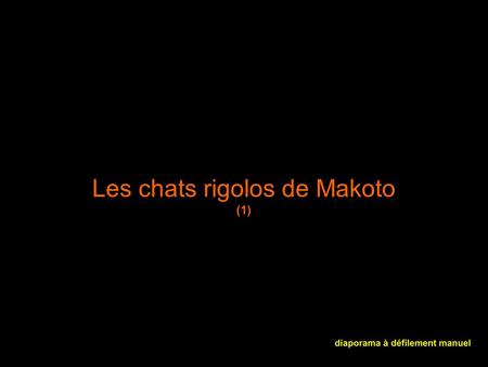 Les chats rigolos de Makoto