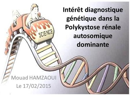 Intérêt diagnostique génétique dans la Polykystose rénale autosomique dominante Mouad HAMZAOUI Le 17/02/2015.