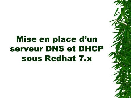 Mise en place d’un serveur DNS et DHCP sous Redhat 7.x