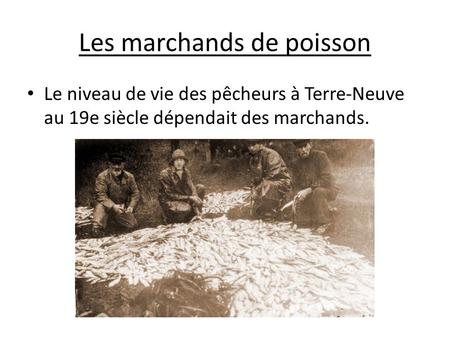Les marchands de poisson Le niveau de vie des pêcheurs à Terre-Neuve au 19e siècle dépendait des marchands.