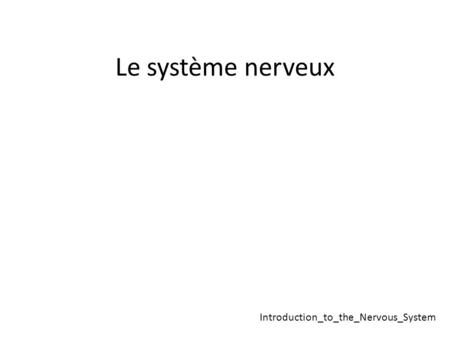 Le système nerveux Introduction_to_the_Nervous_System.