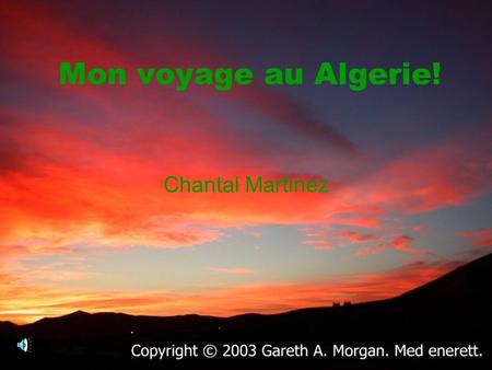 Mon voyage au Algerie! Chantal Martinez.
