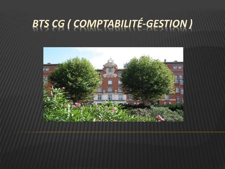 BTS Cg ( comptabilité-gestion )