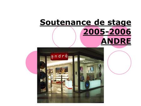 Soutenance de stage 2005-2006 ANDRE. PLAN Pourquoi le stage chez André? Présentation de l’unité d’accueil Mon travail au sein du Groupe André Relation.